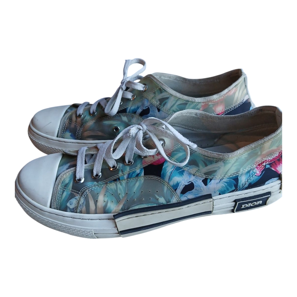 Dior Blue and White Artistic Sneakers